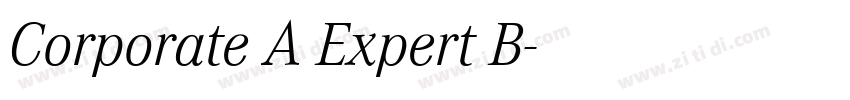 Corporate A Expert B字体转换